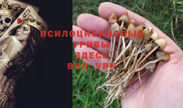 гашик Бородино