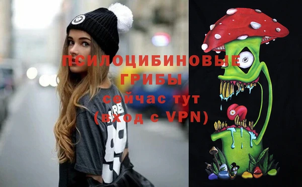 гашик Бородино