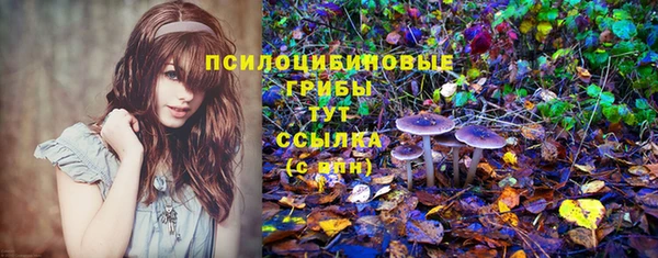 альфа пвп Бугульма