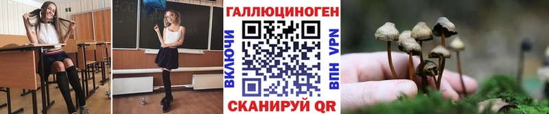 Купить  Мамадыш  Галлюциногенные грибы ЛСД 